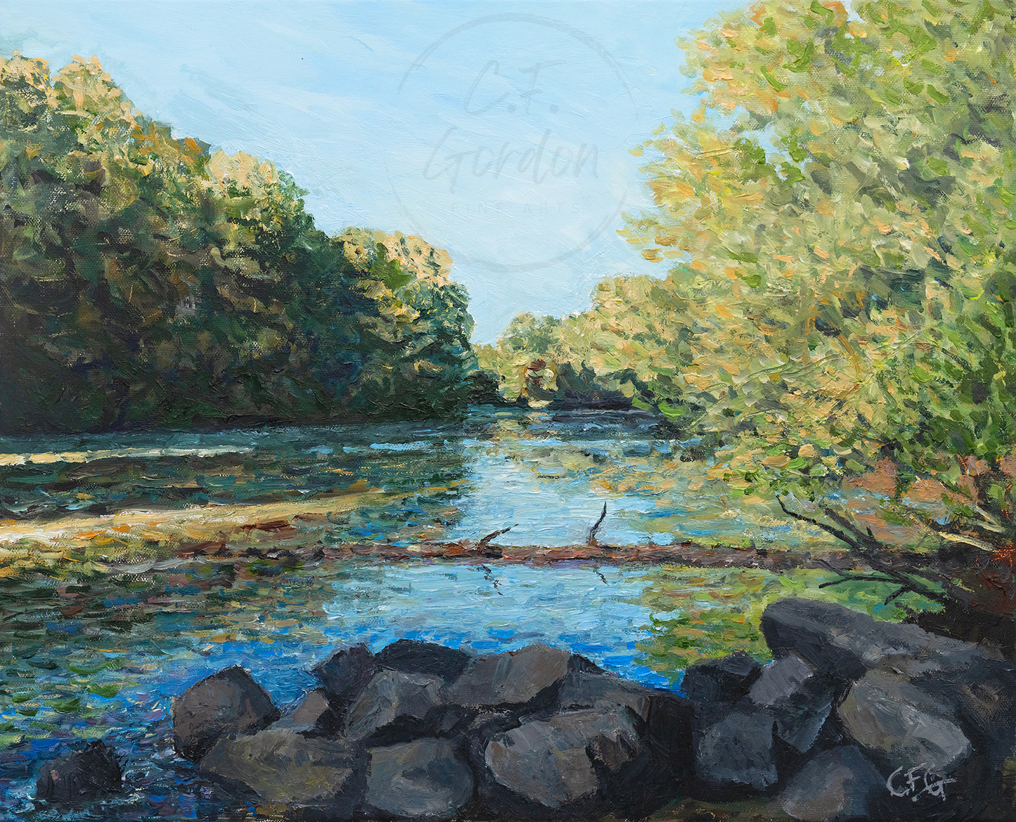 Morning on the Broad River