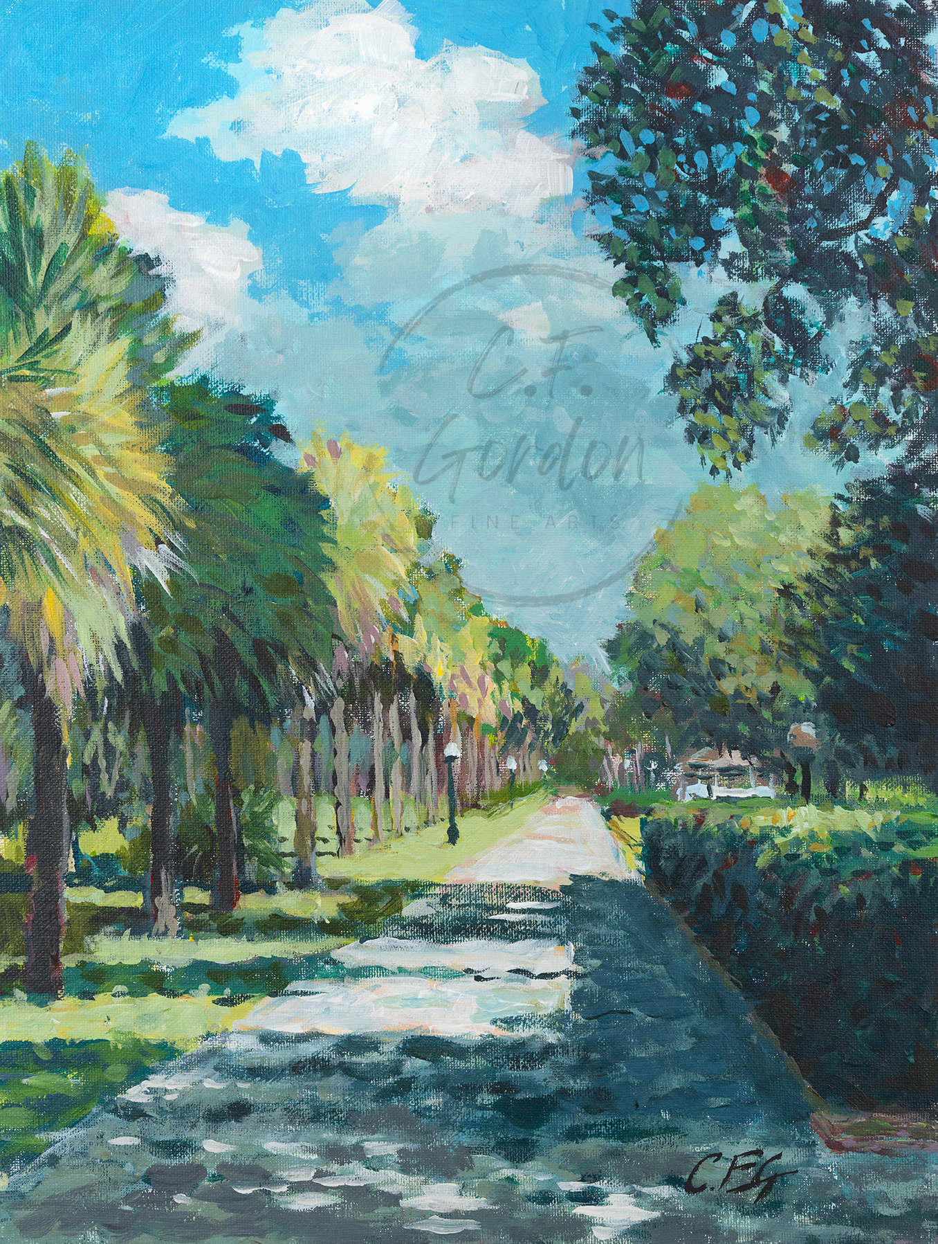 Sun-Dappled Sidewalk